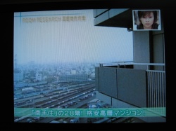 ���ͤΥ֥���