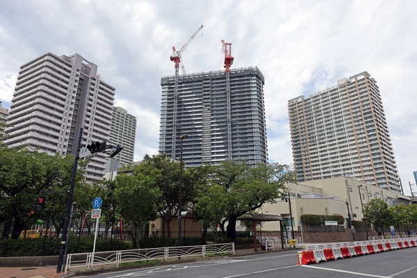 ��ӥ��������