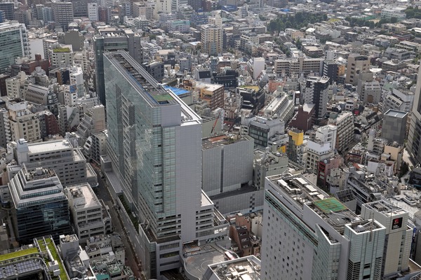 ƻ�������������϶�����Գ��ϺƳ�ȯ����