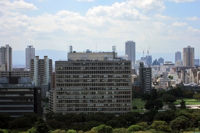 ���뤫�鸫���֤��٤Υϥ륫����