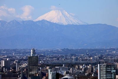 �֥ץ��40�����鸫���ٻλ�