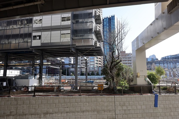 �ѡ������������۽������ �� ��� �Ρ���