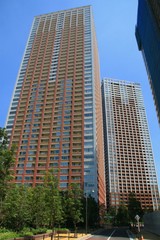 �Ǳ���������