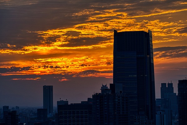 東京タワーからの夕焼け