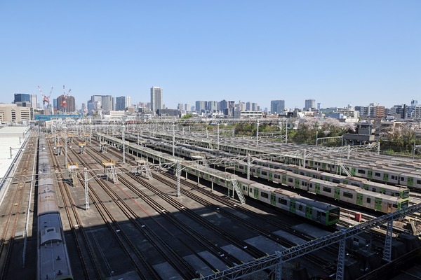 �������ץ饶���鸫����������ξ����