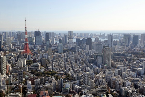 �ѡ������������۽������