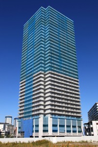 ��̳���ɼ��������(����)��������