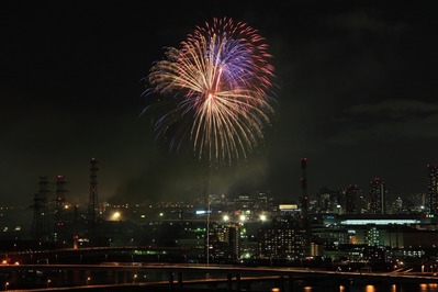 ��28����ֲ����