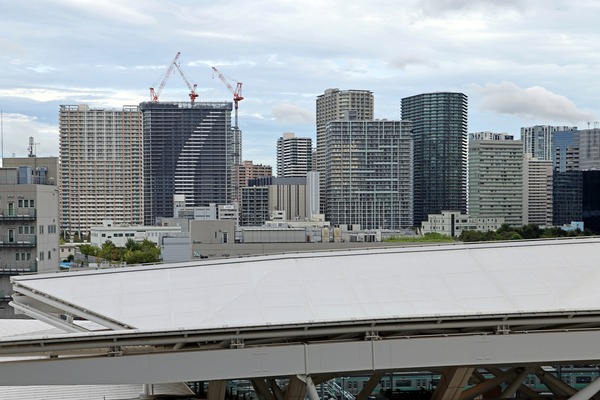 ��ӥ��������