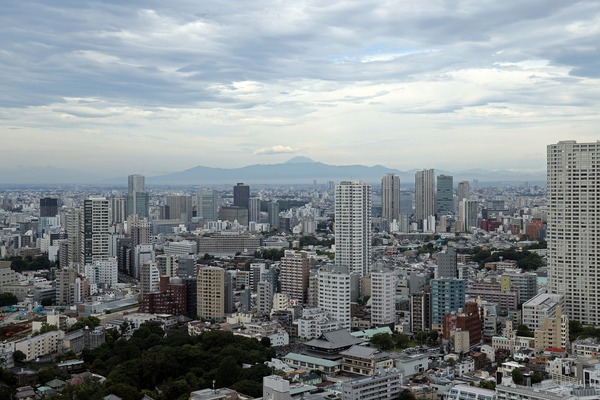 ニュウマン高輪 LUFTBAUM 翠の庭からの眺め