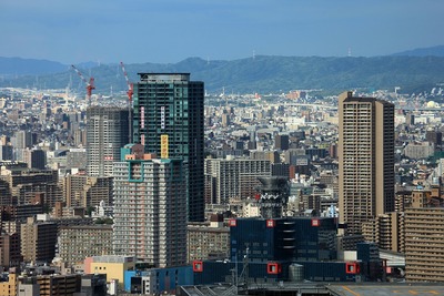 �֥꡼��������鸫��ŷ�����������̤�į��