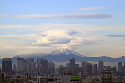 �ٻλ����̤�į��