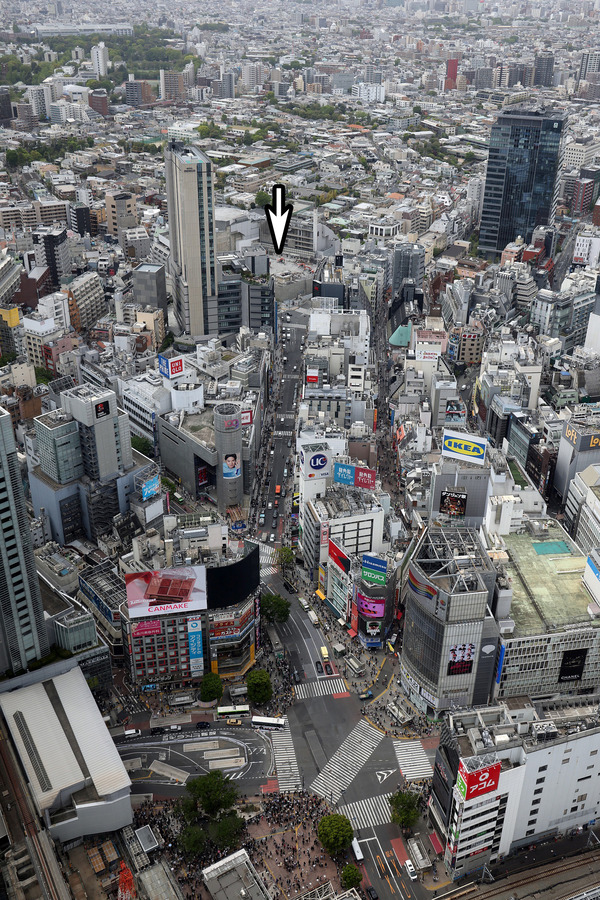 ½Â륢¥Ã¥Ñ¡¼¡¦¥¦¥¨¥¹¥È¡¦¥×¥í¥¸¥§¥¯¥È