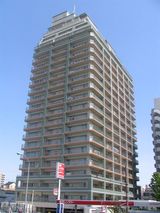 �ѡ�����������������