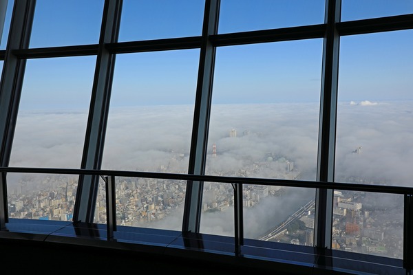 東京スカイツリーから見た雲海