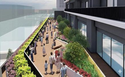 �㾾Į�������϶�����Գ��ϺƳ�ȯ���� ���幭��Υ��᡼��