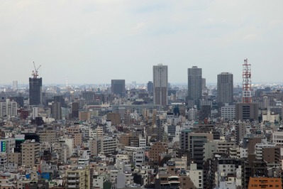 �����ҥӡ��륿��������齻