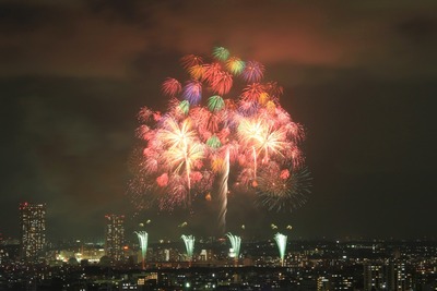 �����������ֲ����