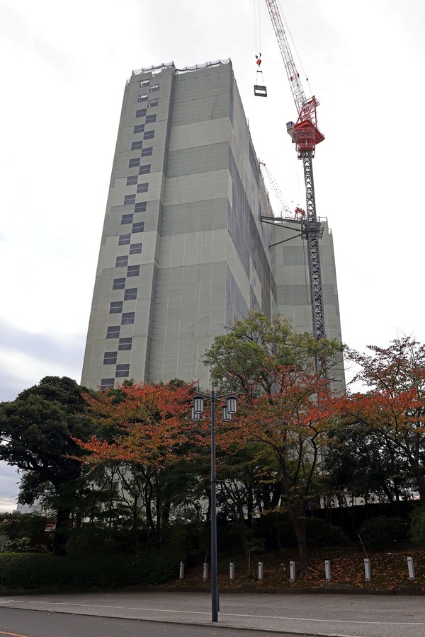 ¥·¥Ê¥¬¥ï¥°¡¼¥¹(SHINAGAWA GOOS)