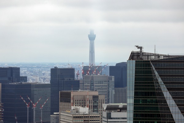 Torch Tower�ʥȡ��������