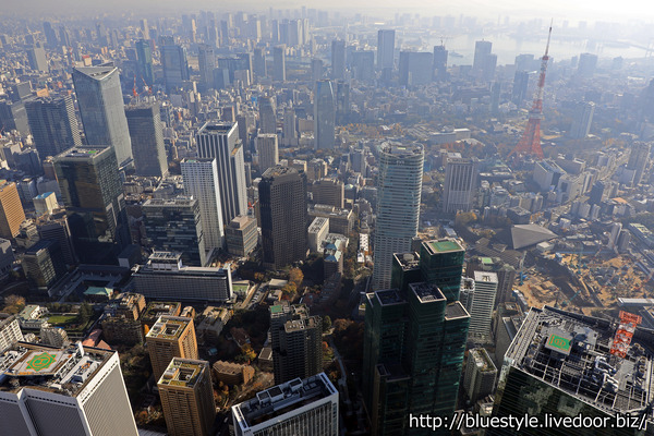 �ѡ��������ȸץ���