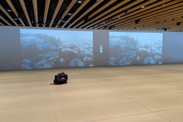 MoN Takanawa Tatami