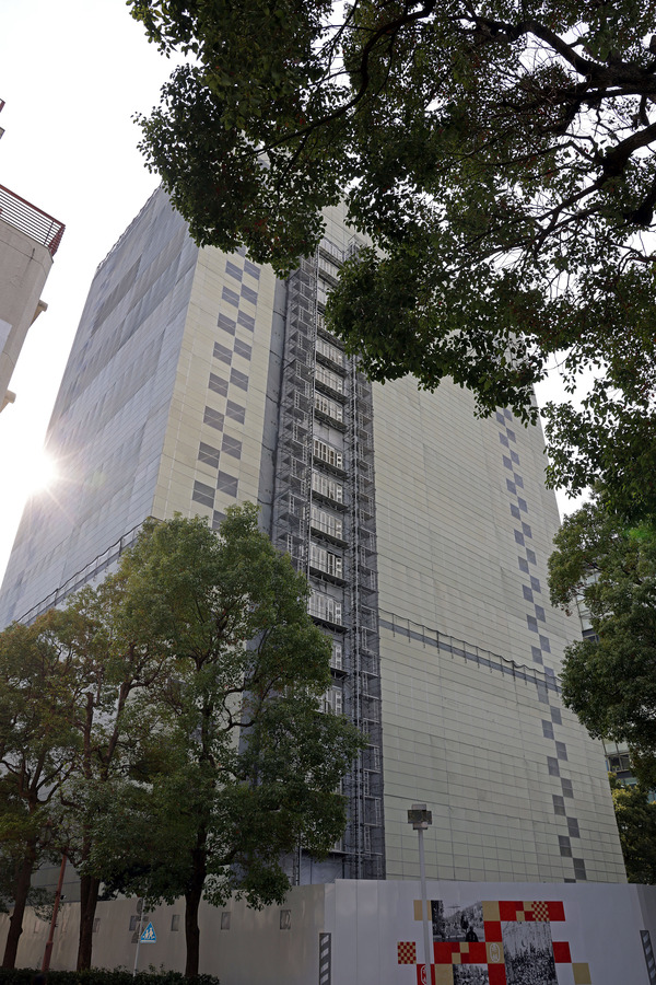 ��ݿ��ֺ�ӥ�����