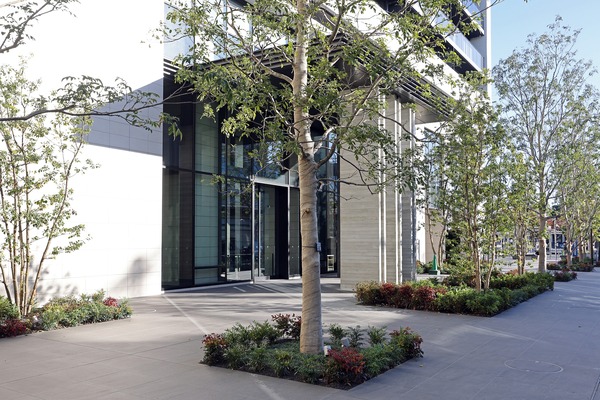 ���ƥ��������