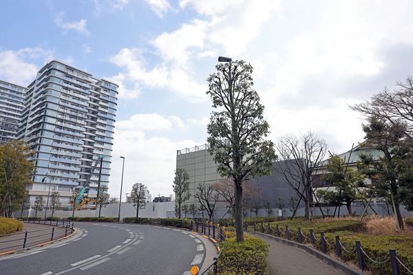 ��Į���϶�����Գ��ϺƳ�ȯ����