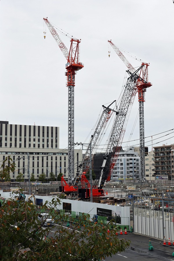 �����ѡ����ϥ��� ��¢��������� �Ρ���