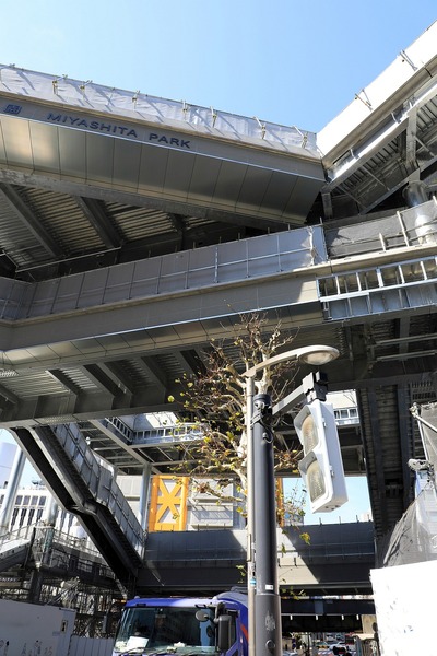 ���ܲ���������������(���)