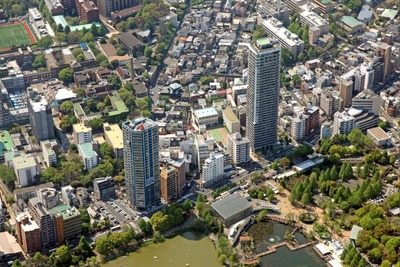 ������Ƿü�ζ���