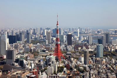 ϻ���ڥҥ륺����������