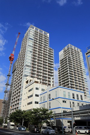 �ѡ�������Ǳ��٥����