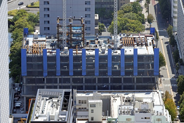 (²¾¾Î)²£ÉÍ»ÔÃæ¶è³¤´ßÄ̷ײè(A-1Ã϶è)