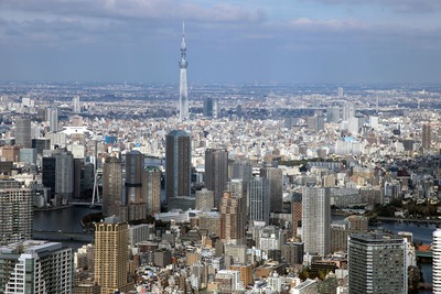 ����������ĥ꡼�ζ���