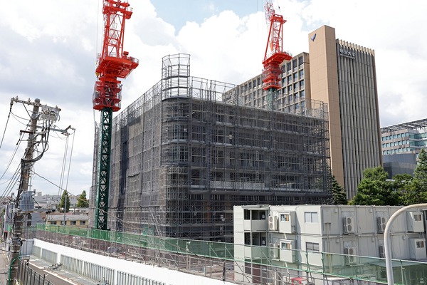 �ѡ������ƥ����� �� ��� �֥꡼��