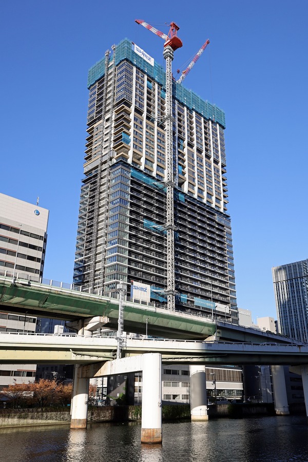 �ѡ���������Ʋ����