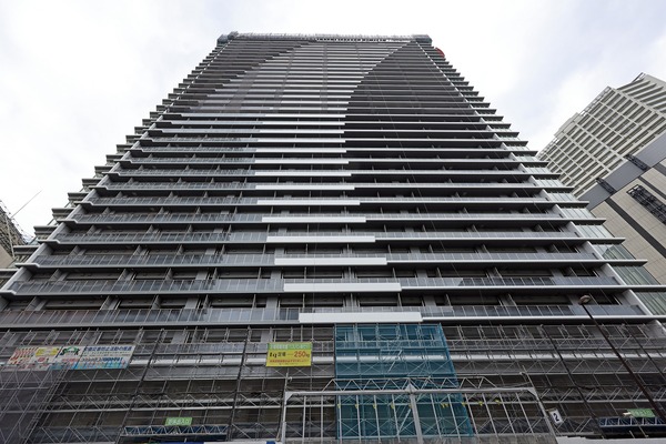 ��ӥ��������