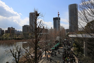 上野動物園から見た上野のタワーマンション群