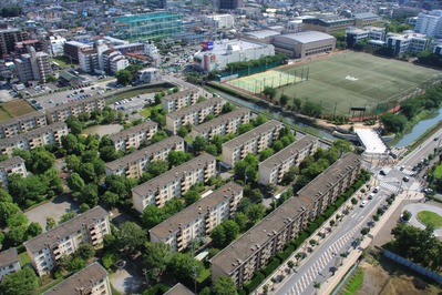 �ϡ���ͥ�����������鸫����������