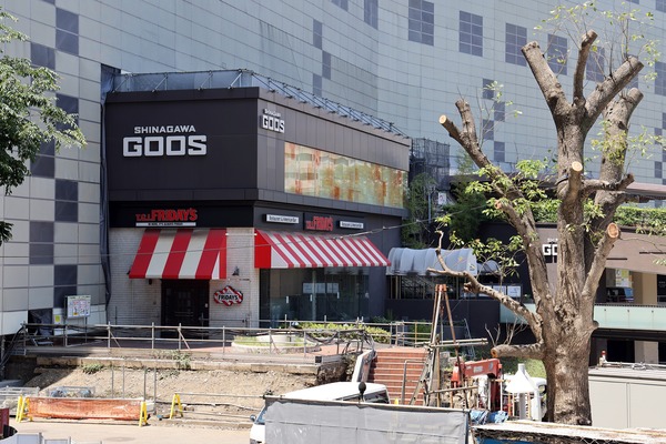 SHINAGAWA GOOS(¥·¥Ê¥¬¥ï¥°¡¼¥¹)