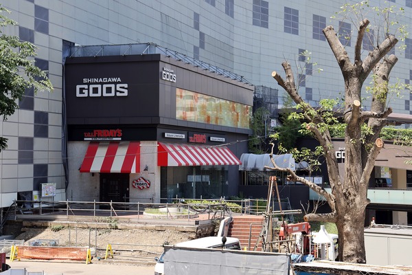 SHINAGAWA GOOS(ʥ殺)