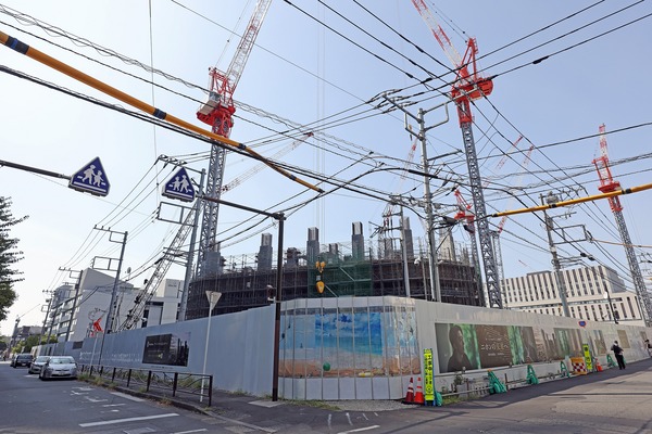 �����ѡ����ϥ��� ��¢���������