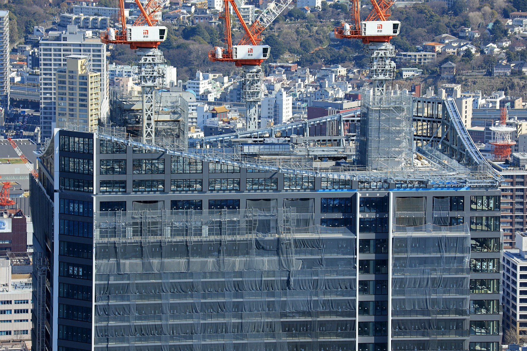 仲村 仲村知夏 / 89番目の星座 / TO BE WHITE | PASSTIME RECORDS