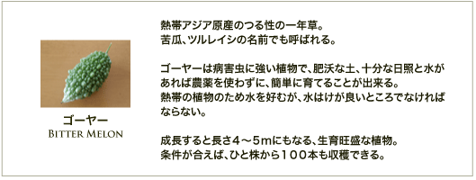 bluetail happiness べと病の再発 Livedoor Blog ブログ bluetail happiness べと病の再発 Livedoor Blog ブログ