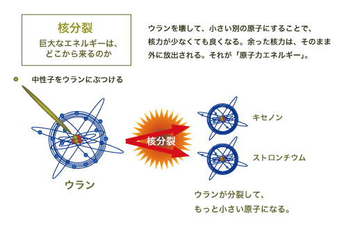 核分裂