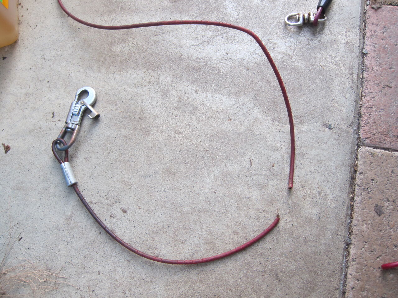 21 2 24 北海道犬 係留用ワイヤー新調 Blue Thunder 弐のblog