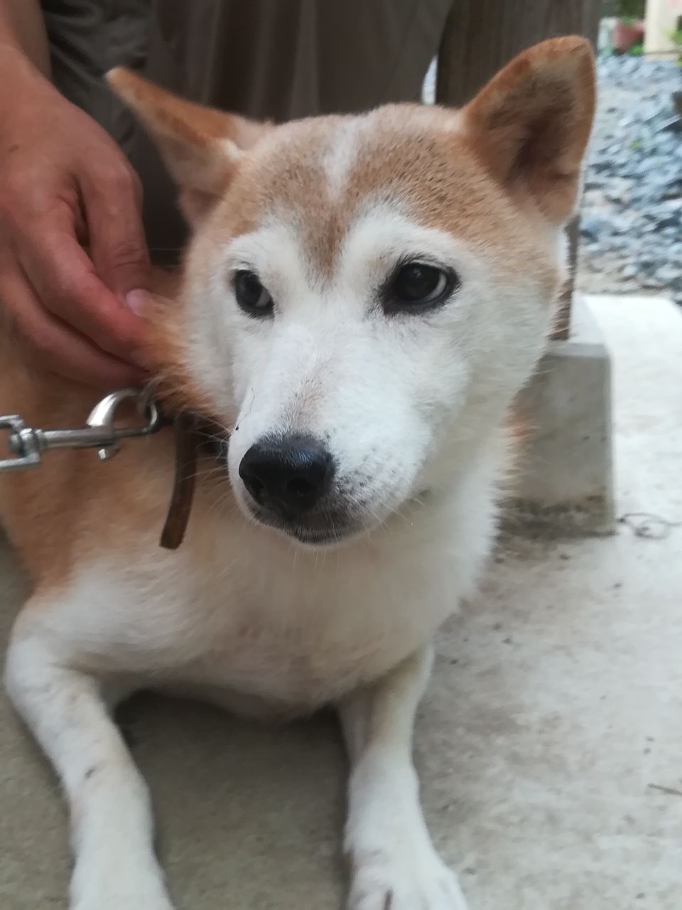 18年08月 Be Yourself