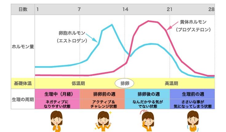 女性の生理周期と食事 鍼灸 Boulevard 虎ノ門